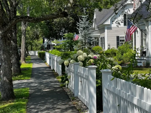 US homes with white picket fence and trees along street edge